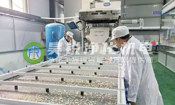 蕪湖瓜子炒制企業10萬級潔凈車間建設難點
